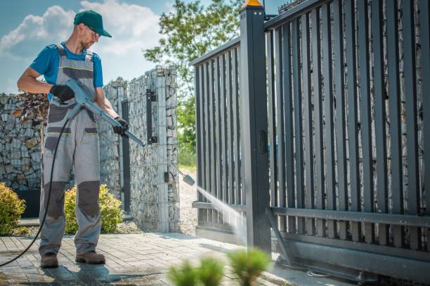 Best Rust Removal  in Cayuga, IN