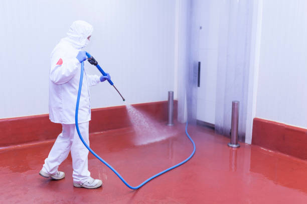 Best Boat and Dock Cleaning  in Cayuga, IN