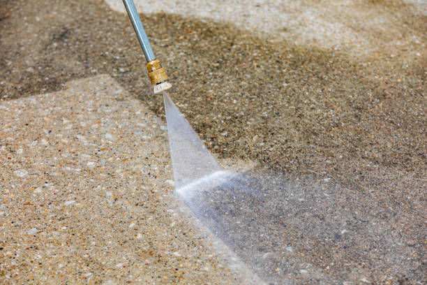 Animal Enclosure Cleaning in Cayuga, IN