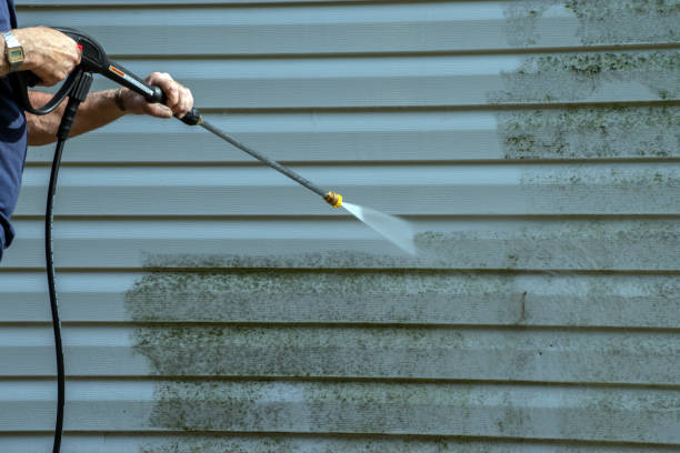 Best Roof Washing  in Cayuga, IN